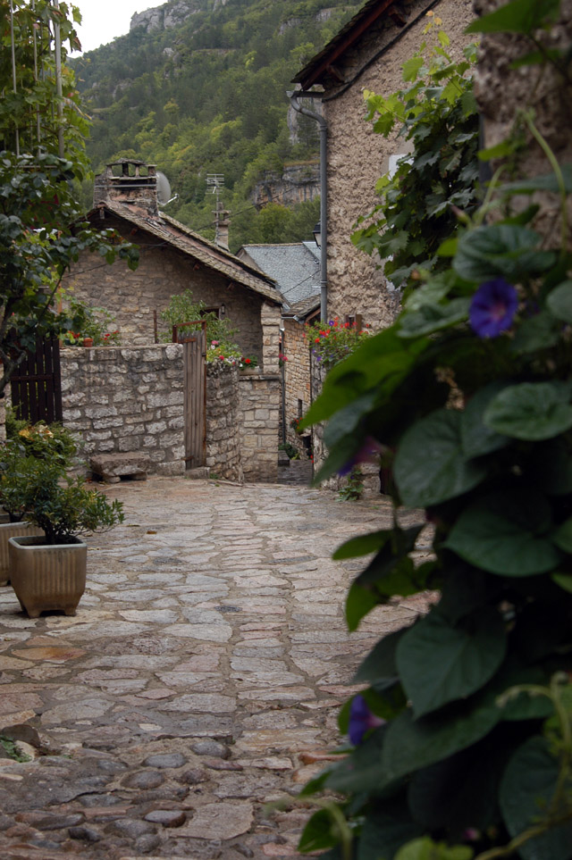 aveyron-34.JPG