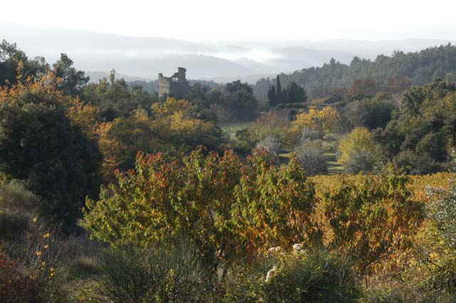 autumnnearus-8.JPG