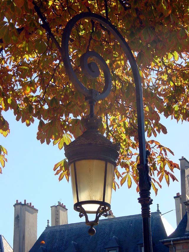 dsc00070.JPG