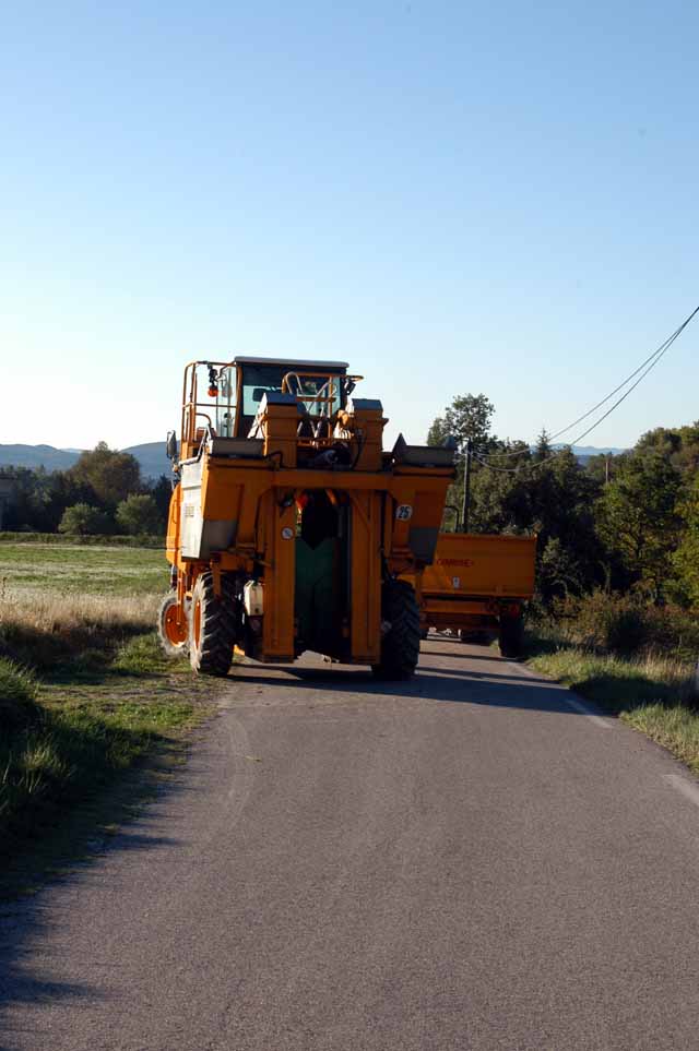 vendage-22.JPG