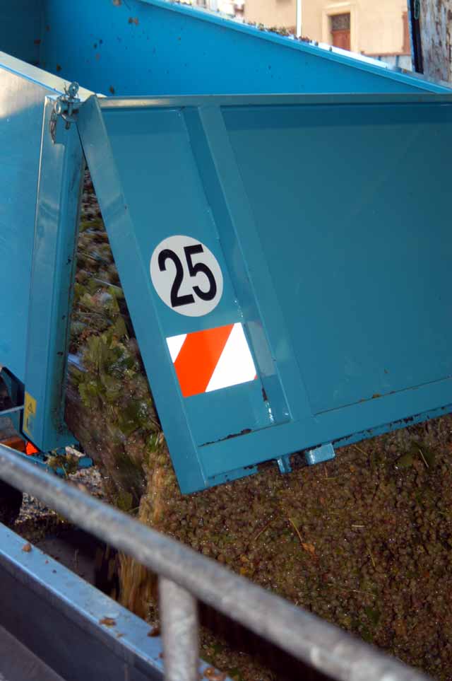 vendage-41.JPG
