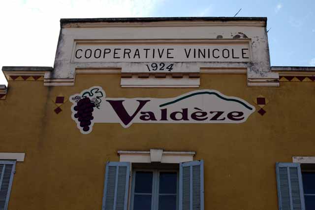 vendage-45.JPG