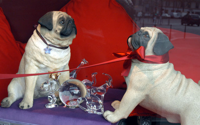 dogwindow-3.JPG