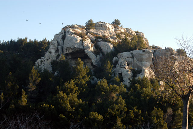 dsc_0001.JPG