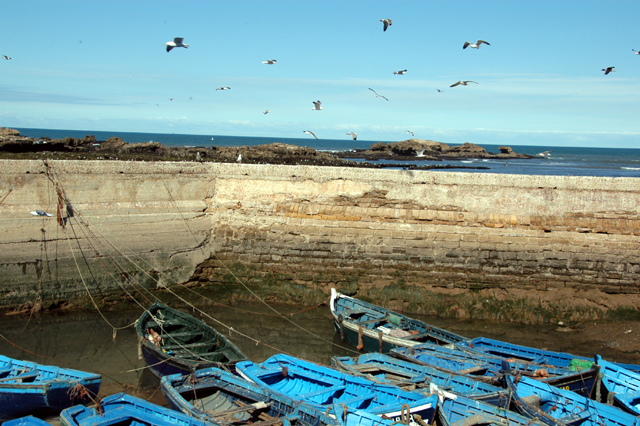 dsc_0224.JPG