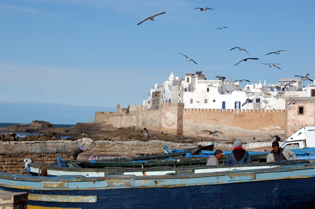 dsc_0334.JPG