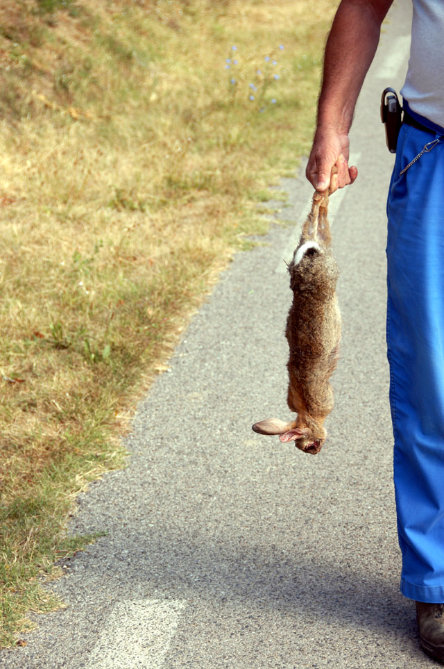 walk-6.JPG