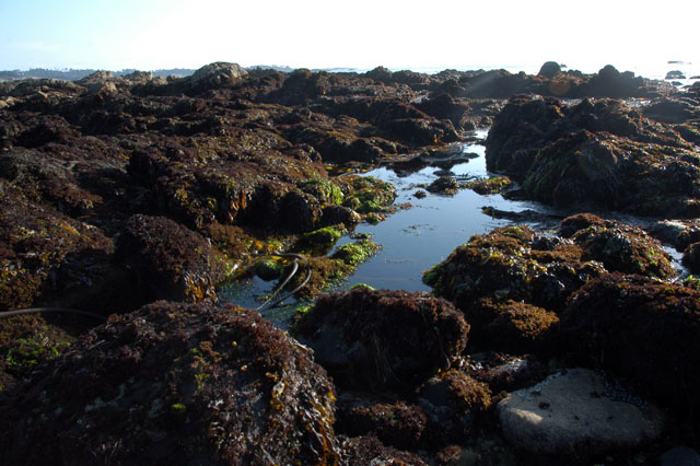 dsc_0015-copy.jpg