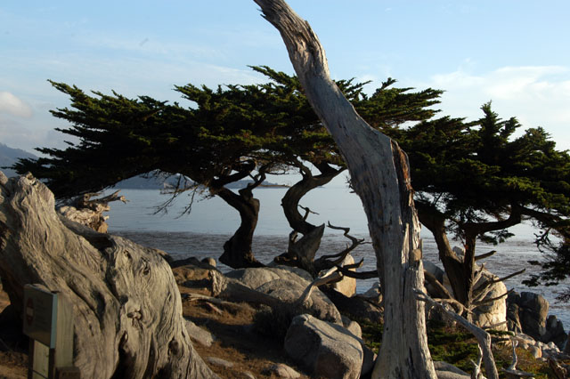 dsc_0031-copy.jpg