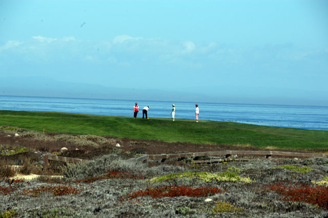 dsc_0039-copy.jpg