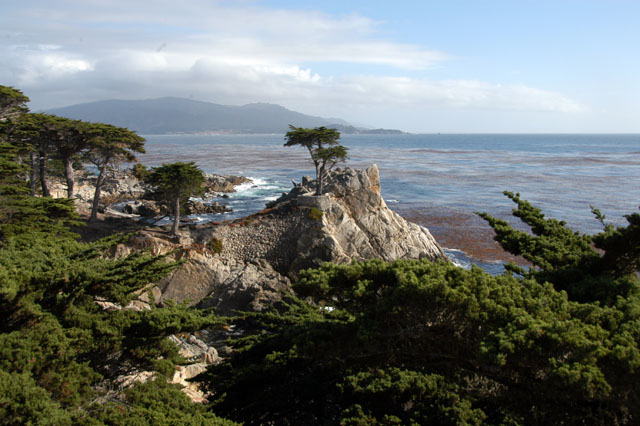dsc_0094-copy.jpg