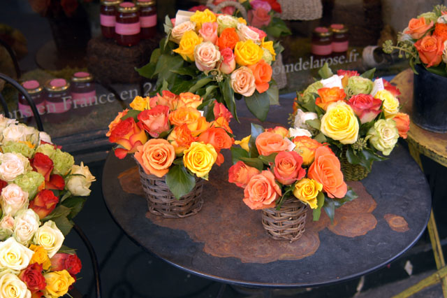 dsc_0030-copy.jpg