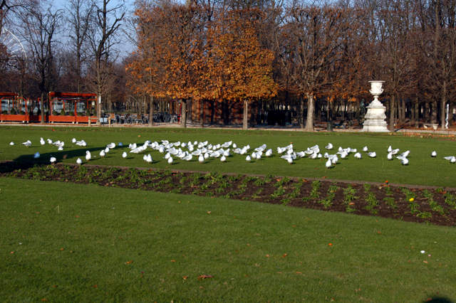 dsc_0045.JPG
