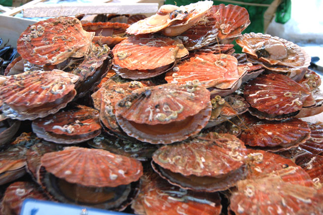 market-10.JPG