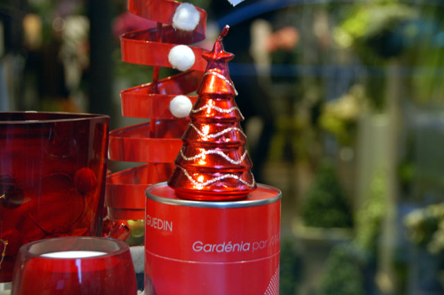 xmas2-15.JPG
