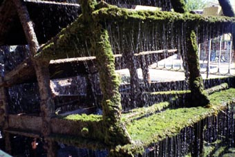 009_07a.jpg