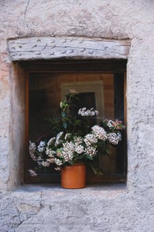 dsc_0071.JPG