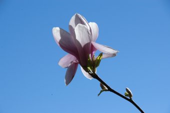 dsc_0078.JPG