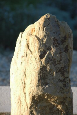 yard-4.JPG