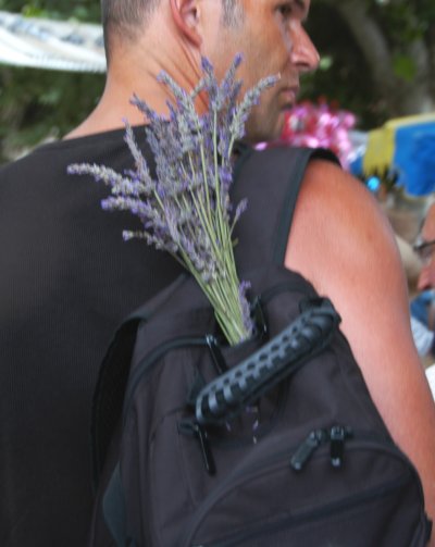 lavender-15.JPG