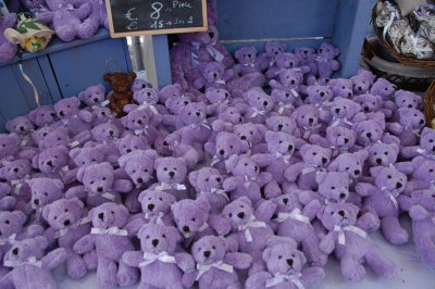 lavender-23.JPG