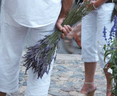 lavender-7.JPG